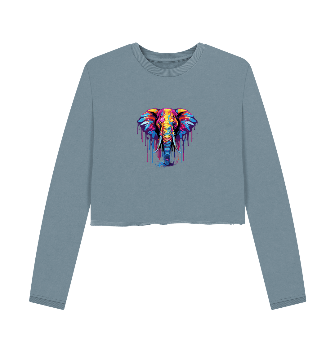 Colorful elephant design on cropped sweatshirt