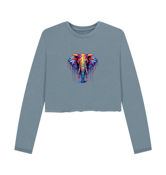 Colorful elephant design on cropped sweatshirt