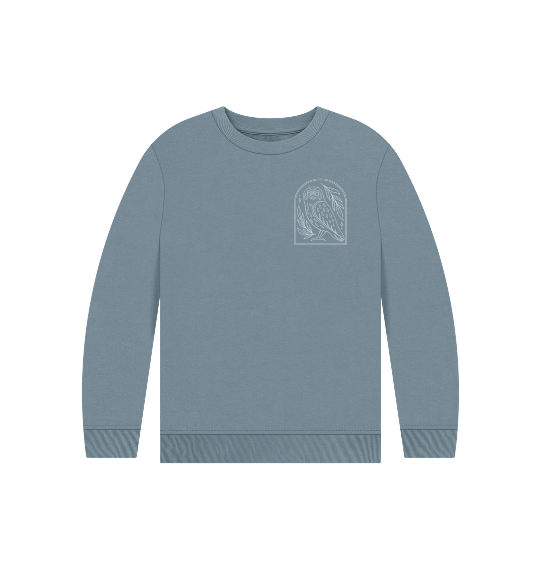 Light blue crewneck sweatshirt with owl design
