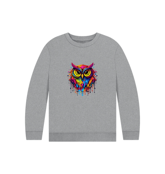 Gray sweatshirt with colorful owl design