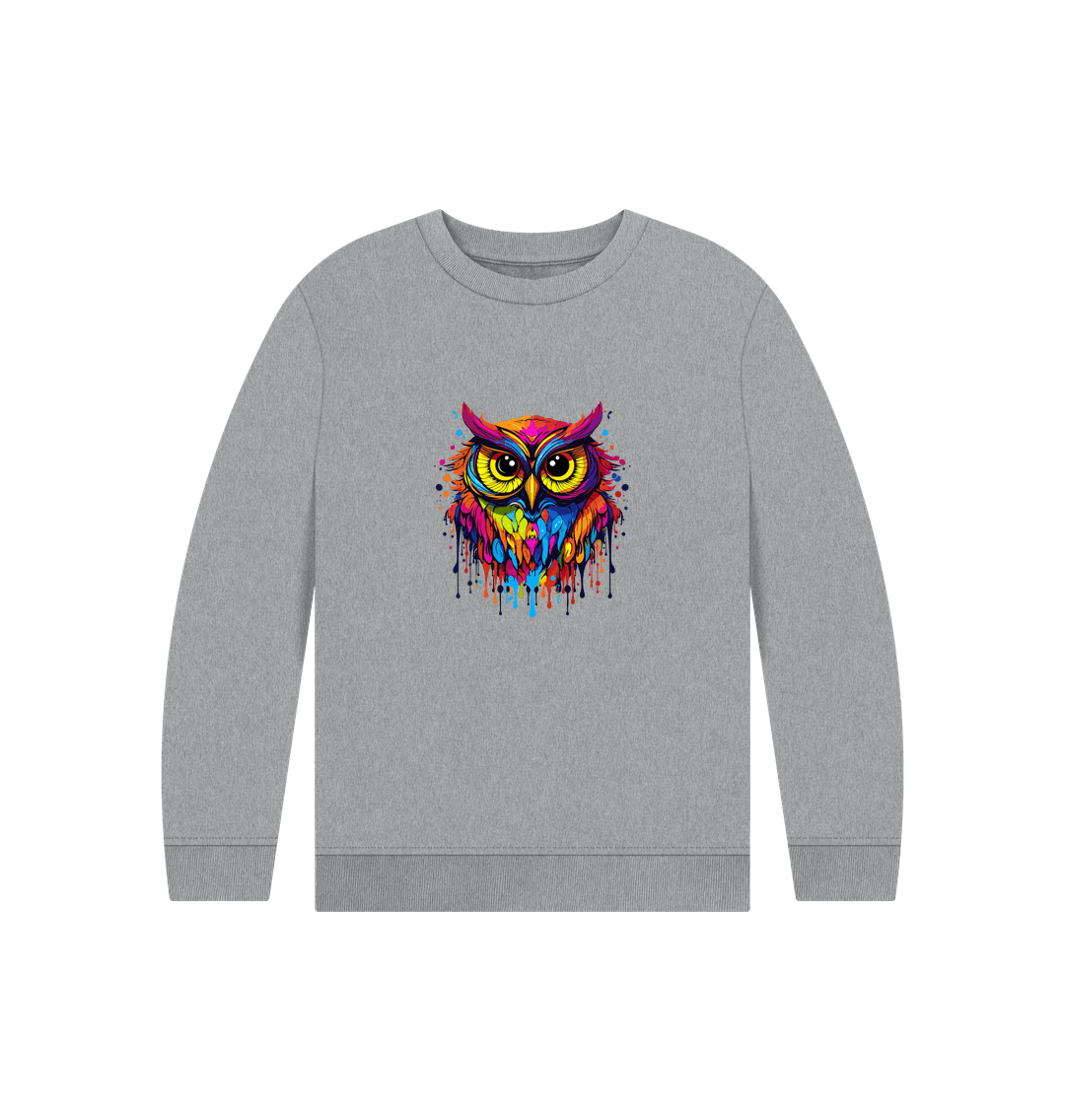 Gray sweatshirt with colorful owl design