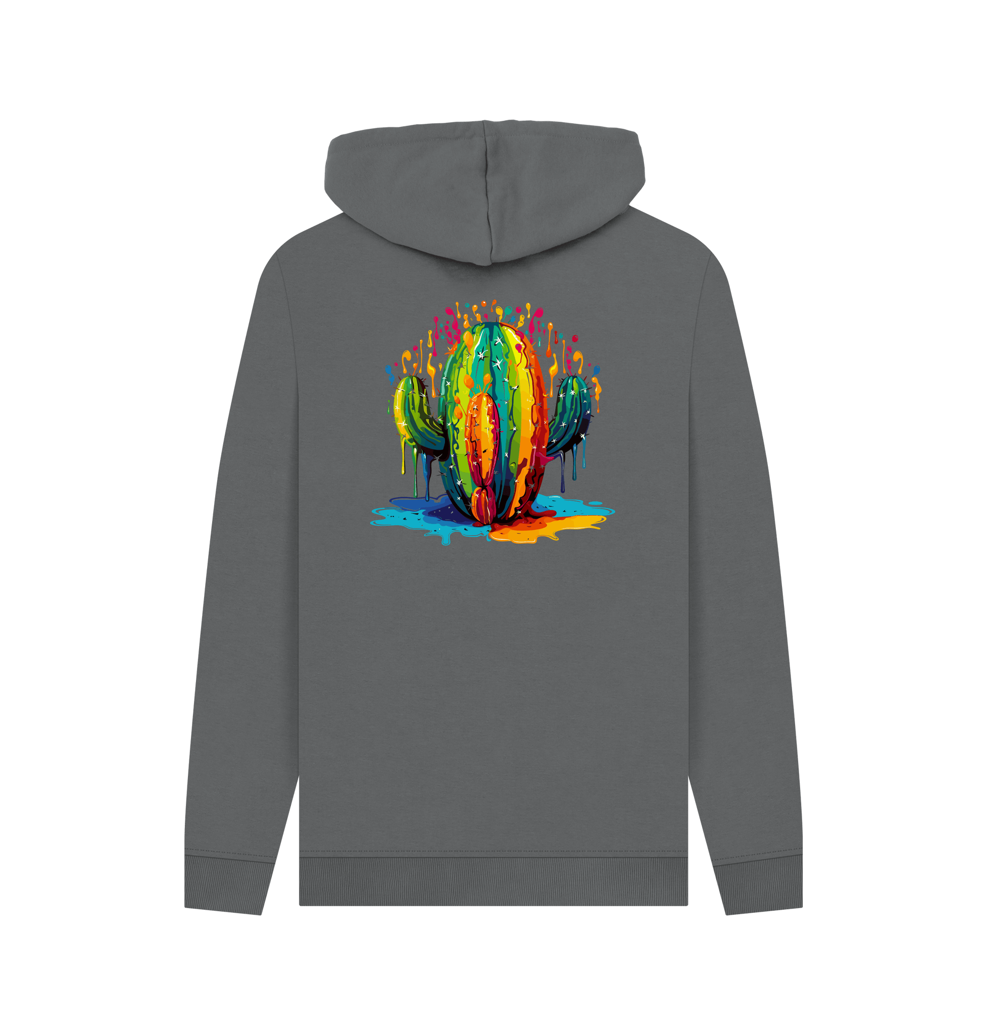 Gray hoodie with colorful cactus design