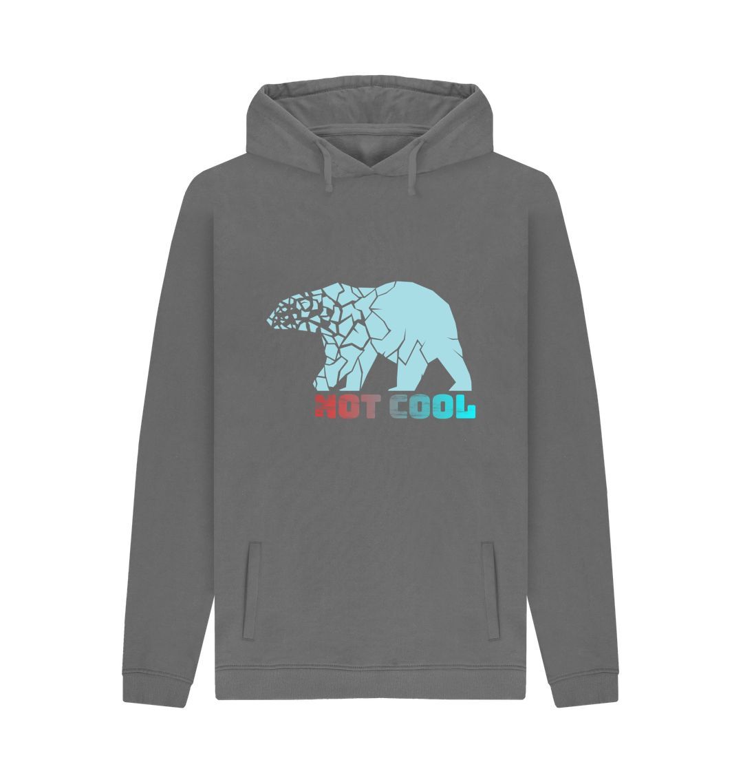 Gray hoodie with bear and text design