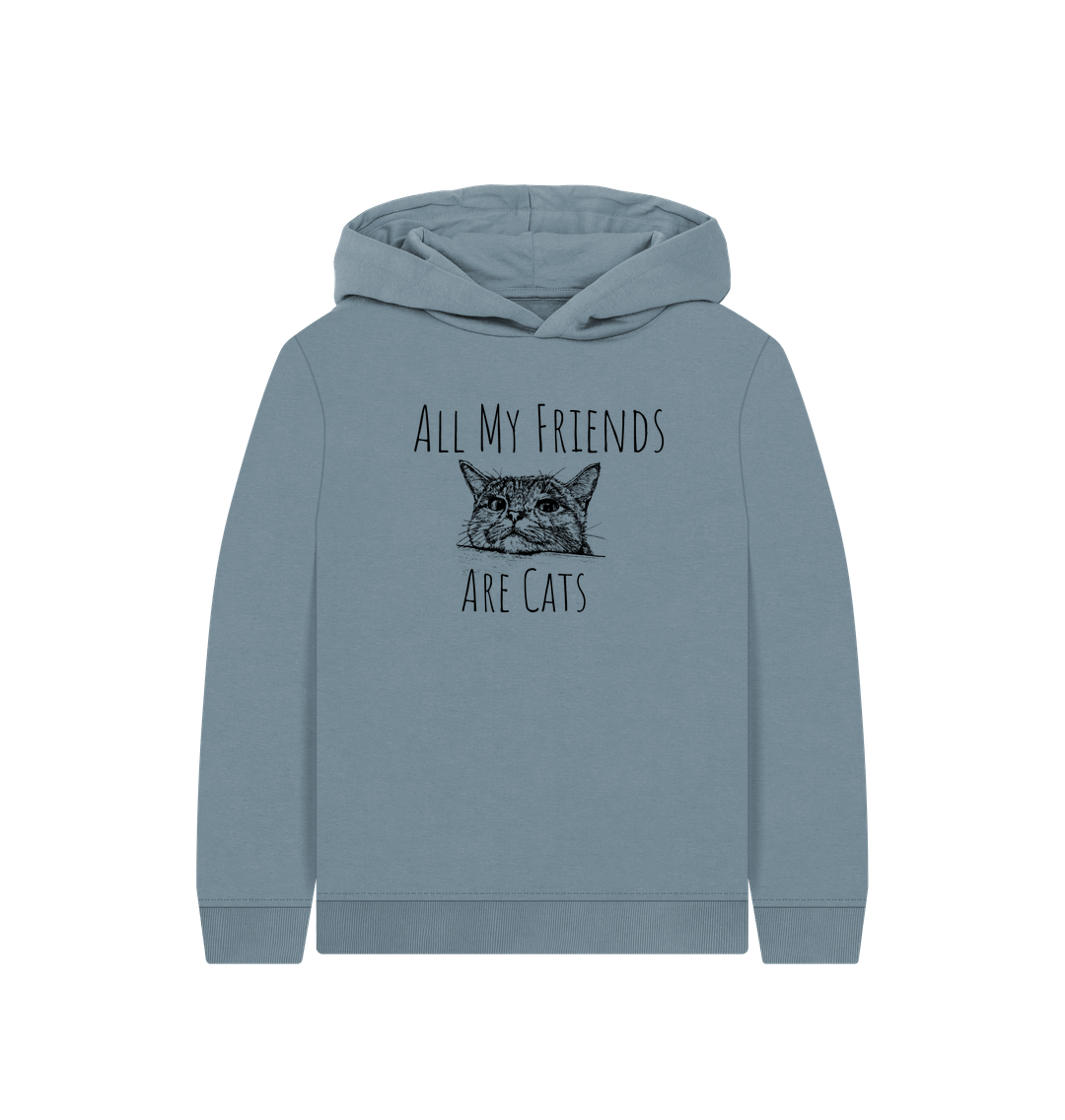 Light blue hoodie with cat illustration and text
