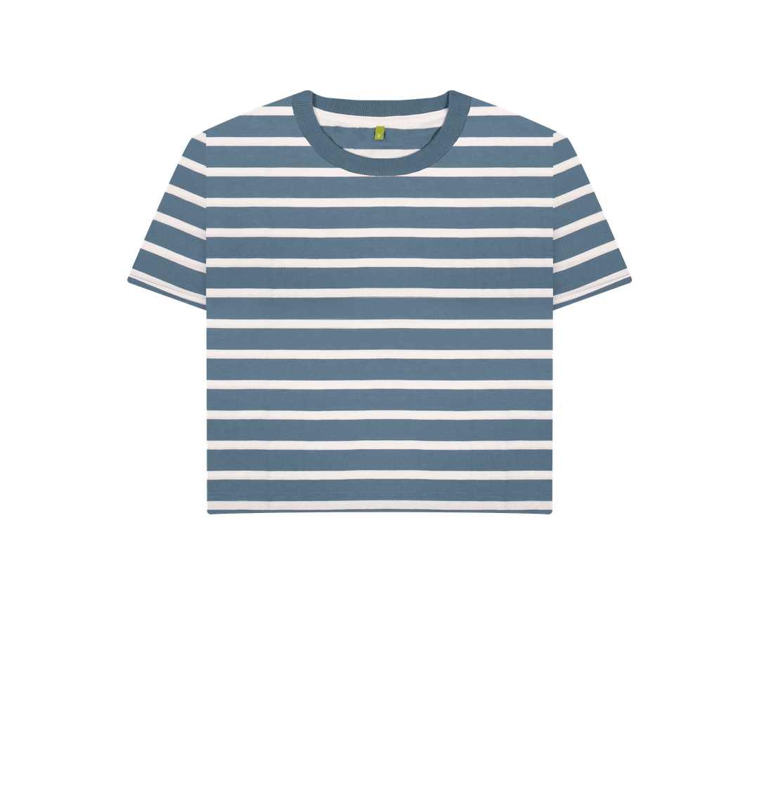 Blue Stripes Women's Striped Organic Boxy Tee