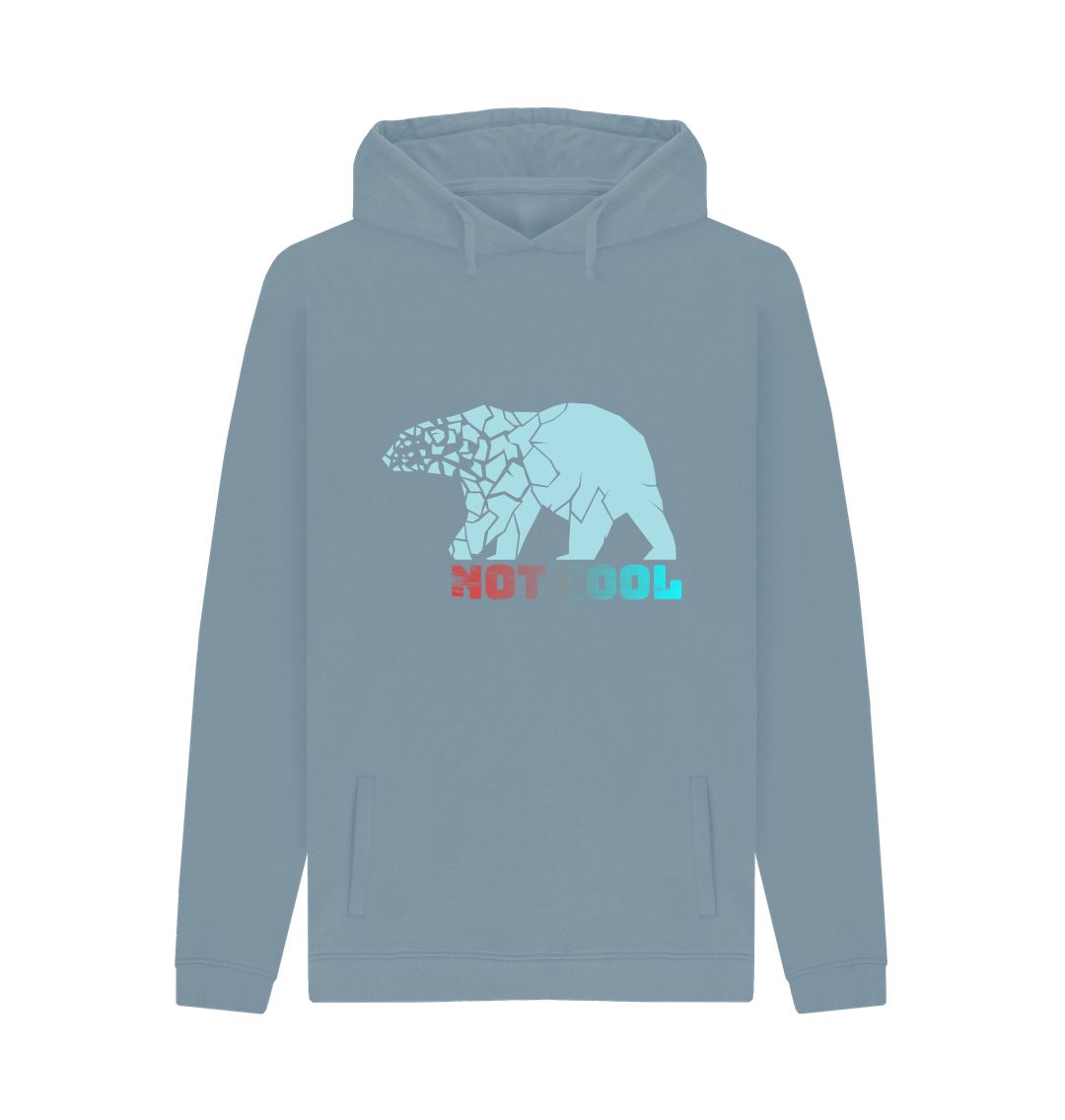Blue hoodie with bear and text design