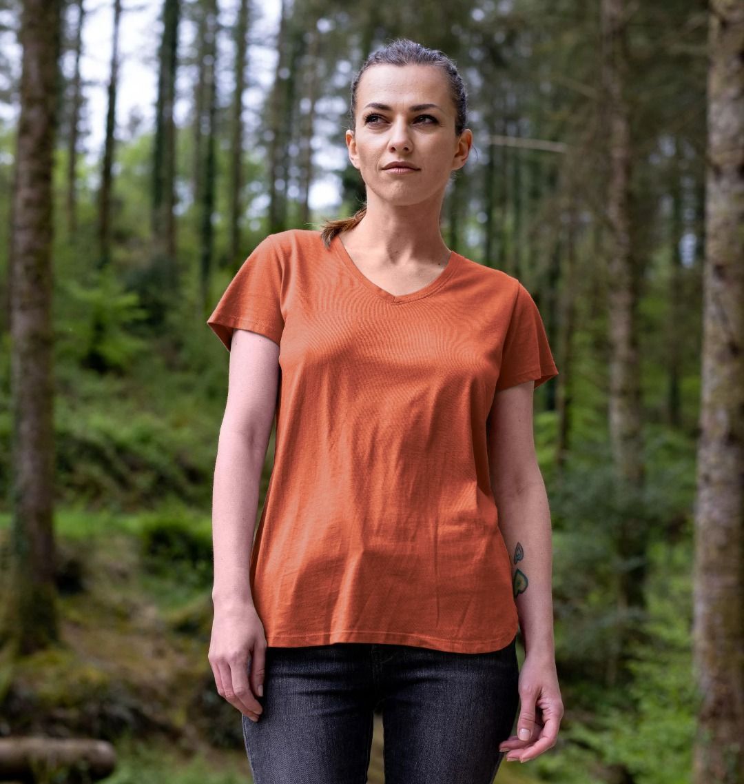 Burnt orange V-neck t-shirt (person)