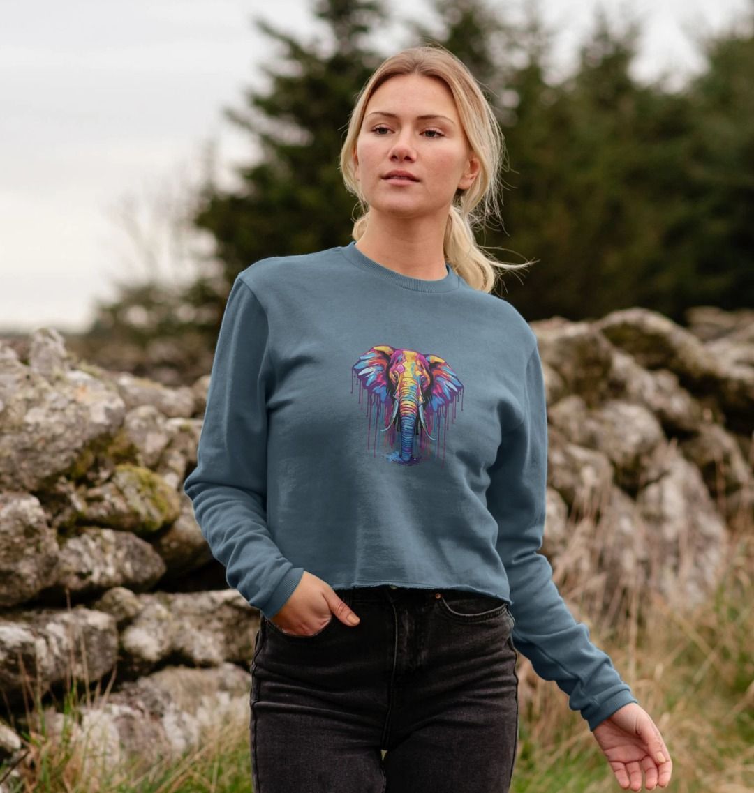 Blue sweatshirt with colorful elephant graphic (person)