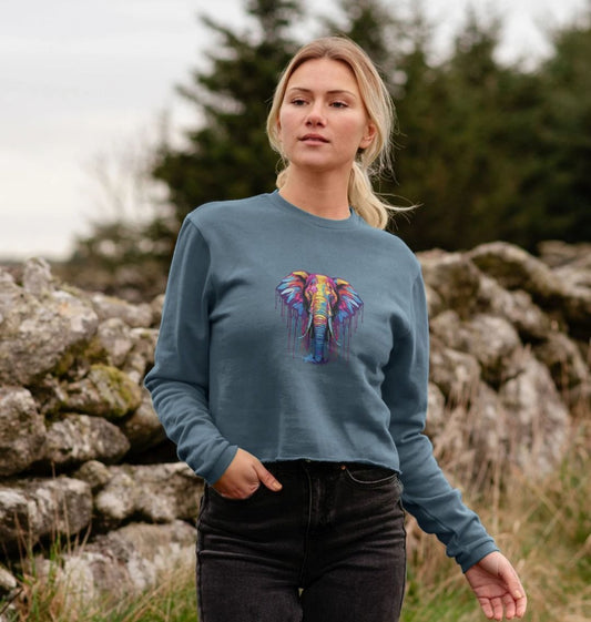 Blue sweatshirt with colorful elephant graphic (person)