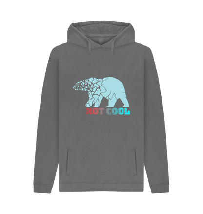 Slate Grey Printed Hoody