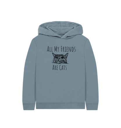 Stone Blue Printed Kids Hoodie
