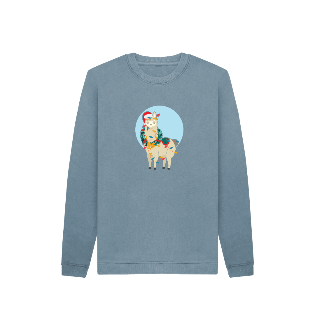 Blue sweatshirt with llama graphic