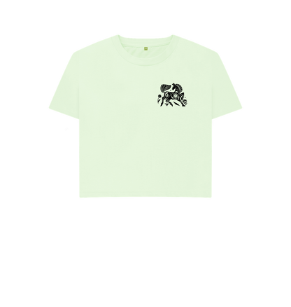 Pastel Green Printed T-shirt Front